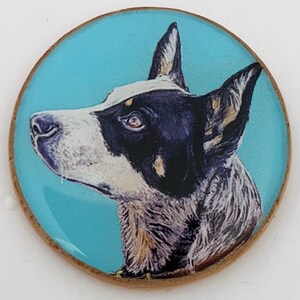 Australian Cattle Dog Queensland Blue Heeler Original Art Pin or Magnet