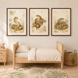 Conjunto de estampas de Anaconda, Jiboia e Píton | Arte de parede para quarto de bebê com tema de selva e safári | Imprimível
