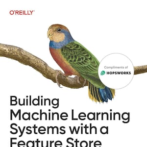 Entwicklung von Systemen für maschinelles Lernen mit einem Feature Store: Batch-, Echtzeit- und LLM-Systeme