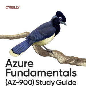 May include: A book cover titled Azure Fundamentals (AZ-900) Study Guide: In-Depth Guidance & Practice for Aspiring Cloud Engineers by Jack Lee. The cover features an illustration of a dark blue and cream-colored bird perched on a brown tree branch.