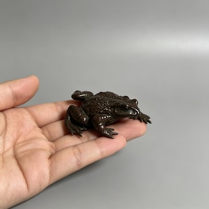 Op de afbeelding: Een klein, donkerbruin kikkerbeeldje met een gedetailleerde textuur, voorzien van een bobbelige huid, duidelijk gevormde ledematen en opvallende ogen, afgebeeld in een gehurkte houding met de poten onder het lichaam gevouwen.