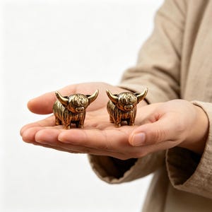 Peut inclure: Deux petites figurines métalliques de couleur laiton représentant des vaches Highland. Chaque figurine présente un pelage texturé, des cornes incurvées proéminentes et un visage détaillé avec une frange ébouriffée, reflétant l'aspect de l'animal.