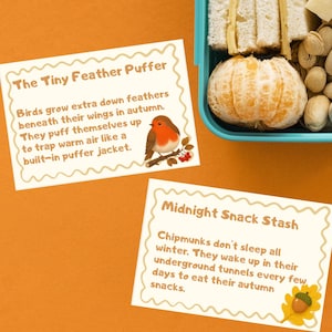 May include: A teal lunch container filled with white bread and cheese sandwiches, a peeled orange, and pistachios, accompanied by two rectangular cards with scalloped edges featuring text about a robin and chipmunks on an orange background.