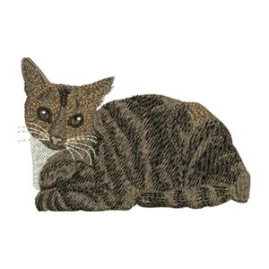 May include: An embroidered patch featuring a brown and black tabby cat in a resting position. The cat has dark stripes, a white chest patch, and detailed whiskers. The embroidery uses varied thread directions to create texture and depth.