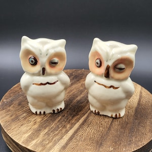 May include: A pair of white ceramic owl figurines with glossy finishes. Each owl features a brown painted beak, brown chest markings, and brown claw details. One owl has a blue eye and a closed eye, while the other has a brown eye and a closed eye.