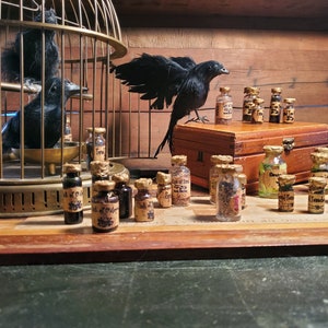 Bottled Squid Tentacles Black Crow Potion