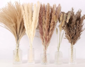 Decorazione con erba della pampa essiccata / Mazzo di fiori in vaso bianco e marrone in stile boho