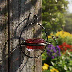 May include: A black metal circular frame holding a clear glass dish filled with red liquid. The frame features a hook at the top for mounting. A small hummingbird with green and red feathers is captured in flight near the circular feeder structure.