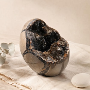 Septarian Dragon Egg Geode | Black Druzy Crystal Cluster Decor