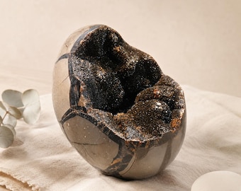Geode a forma di uovo di drago septariano / Decorazione a grappolo di cristalli druzy neri