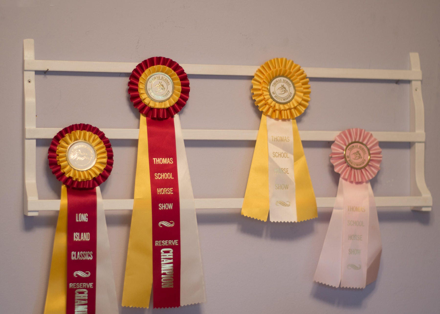 Horse Ribbon Rack Dog Ribbon Display 4H Ribbon Display Award Ribbon