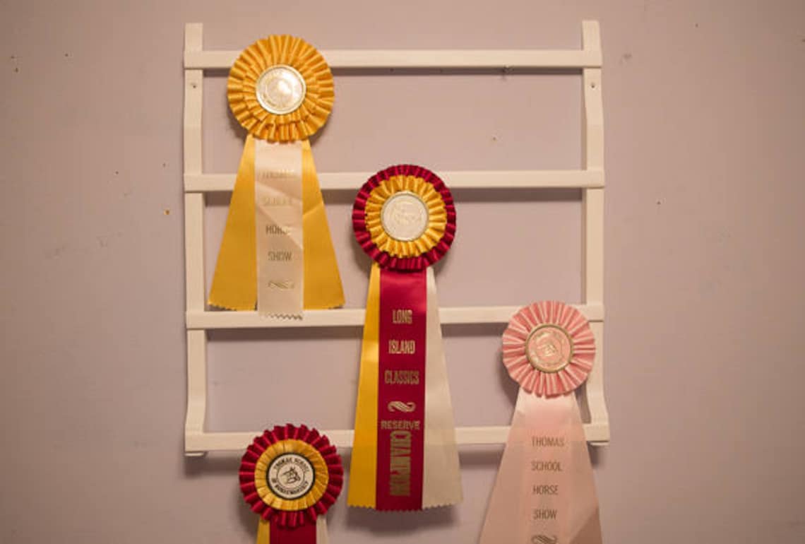Horse Ribbon Display Dog Ribbon Display 4H Ribbon Etsy