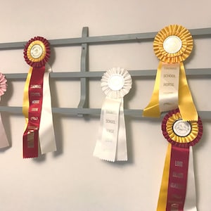 Horse Ribbon Rack | Dog Ribbon Display | 4-H Ribbon Display | Award Ribbon Display | Ribbon Rack