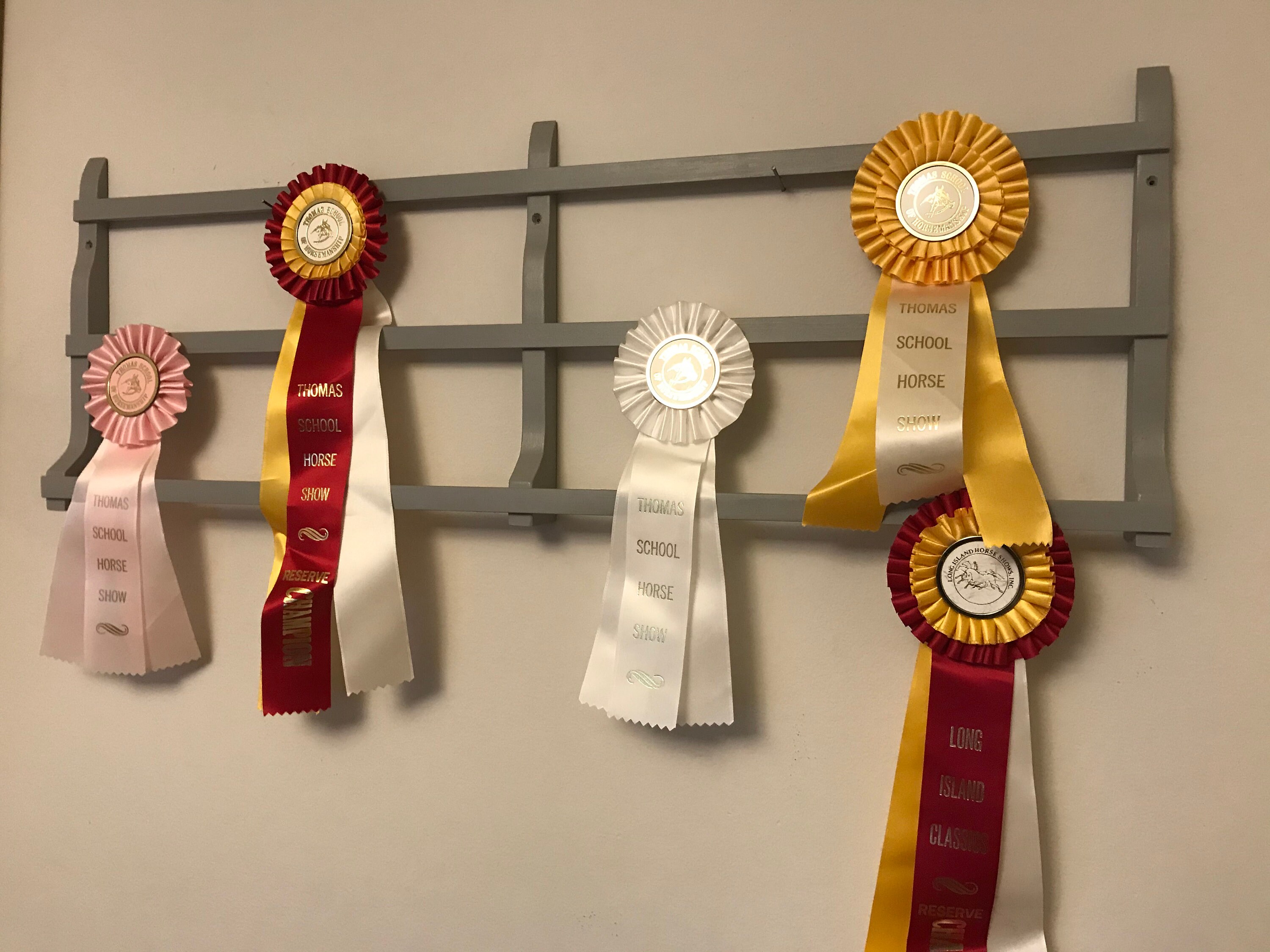 Dog Show Ribbon Display