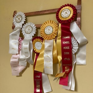 Horse Ribbon Rack | Award Ribbon Rack | Compact Classic