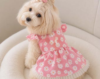Daisy Dog Dress, Floral Ruffle Pet Outfit for Small Dogs, XS–XXL