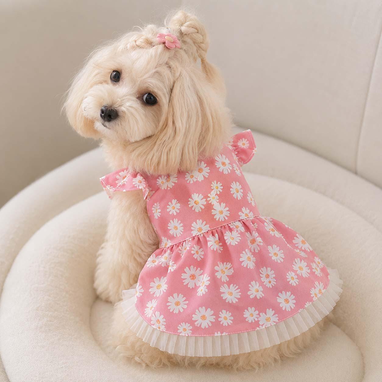 Xs Girl Dog Outfit - Etsy