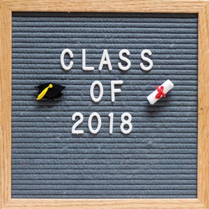 Ornamentos para quadro de cartas de GRADUAÇÃO // Acessórios para quadro de cartas de feltro // Ideias para presentes de formatura // Decoração de quadro de cartas //