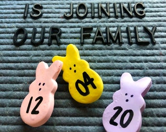 Aangepaste paaszwangerschapsaankondiging: uitgerekende datum briefbord Bunny Peeps