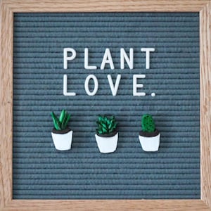 PLANT Lovers Spring Letter Board Ornaments // Mini Succulents // Felt Letter Board Accessories // Home Decor // Housewarming // Spring Decor