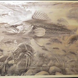 May include: A detailed wood carving depicting an underwater scene. The artwork features a large fish with open mouth, surrounded by smaller fish and a crayfish. The carving is in shades of brown and tan.