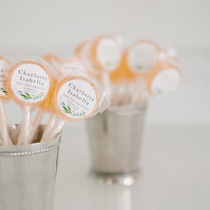 Lollipop Sampler for Couples – 10-Count Wedding Favor Taste Test | Sweet Try-Me Box