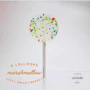 Birthday Rainbow Lollipops for Guest | Happy Birthday Lollipops | Confetti Birthday Party | Customizable Treats