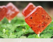 Fruit Lollipops - Watermelon & Pink Peppercorns - 6 Gourmet Lollies - Weddings - Birthdays - Watermelon Lovers - Summer Wedding Favor 