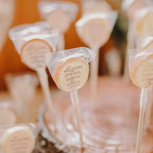 Raspberry Chocolate Lollipops // Favors for Guest // Bridal Shower Favor // Fall Weddings // Summer Wedding // 10 count image 6