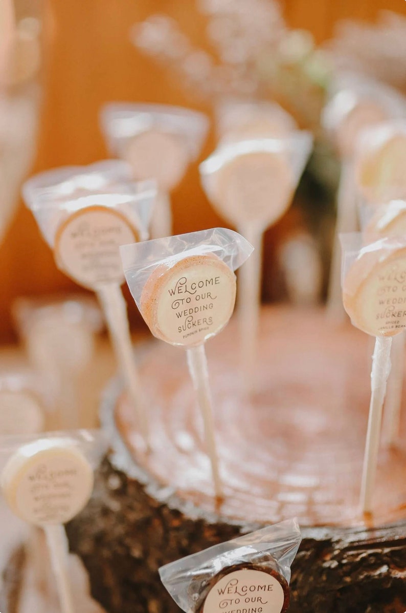 Raspberry Chocolate Lollipops // Favors for Guest // Bridal Shower Favor // Fall Weddings // Summer Wedding // 10 count image 6