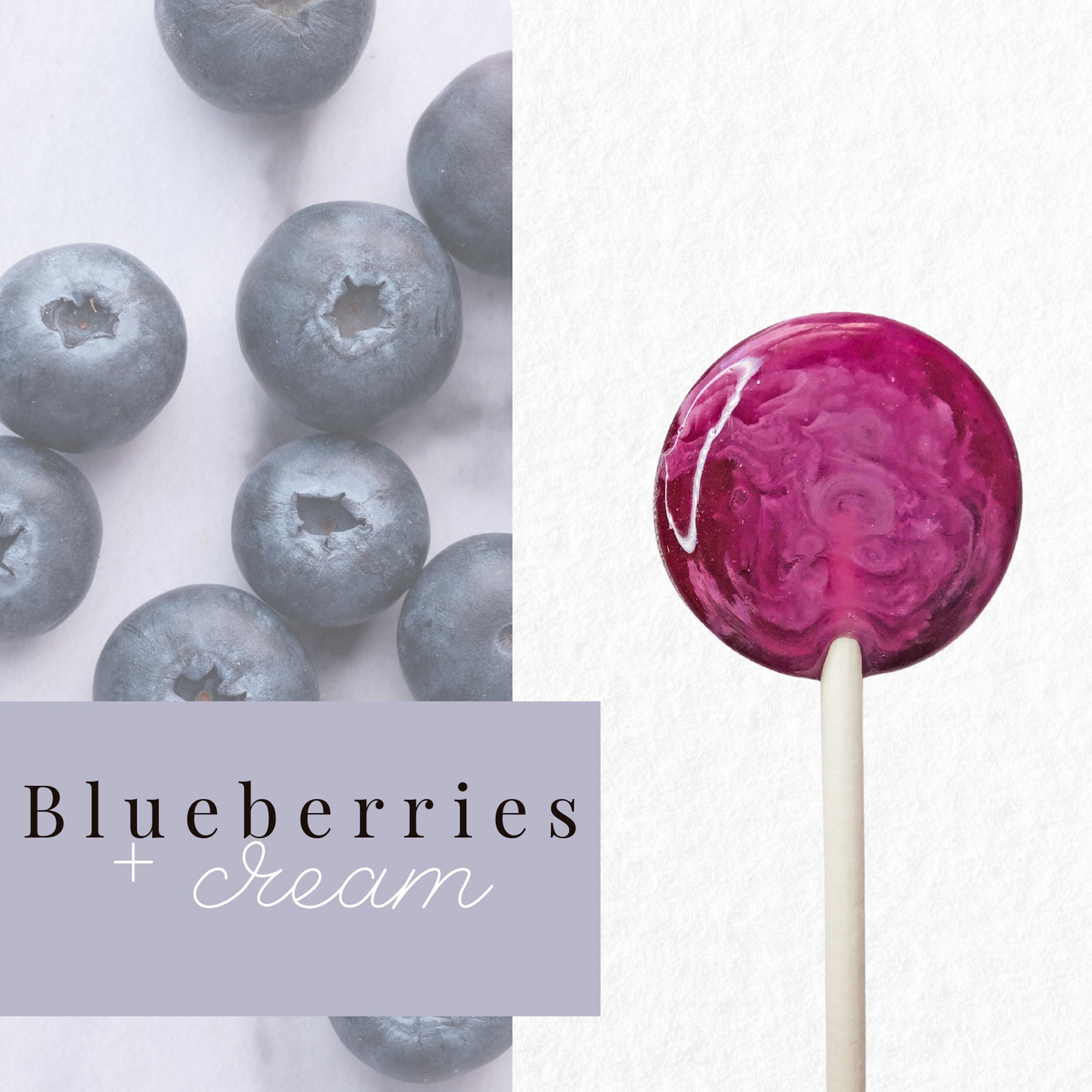 Fall Lollipops // Blueberries and Cream // Swirl Lollipops // Etsy