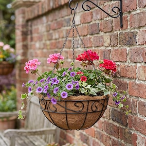 Op de afbeelding: Een hangende plantenmand met een zwart metalen frame en een voering van natuurlijke kokosvezel, gevuld met levendige roze, rode en paarse bloemen en groen klimopblad, opgehangen aan een zwarte metalen muurbeugel tegen een bakstenen muur.