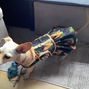 Black Antique Hawaiian Surfboards Dog Harnesses and Harness Dresses For Your Pets