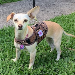 Brown Ombré Tribal Print Dog Harnesses and Harness Dresses For Your Pets