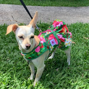 Red with Pink Hibiscus Dog Harnesses and Harness Dresses For Your Pet