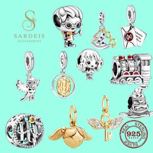 Può includere: Una collezione di ciondoli in metallo color argento e oro con personaggi e simboli di una serie fantasy, tra cui un ragazzo con gli occhiali, un treno, una palla alata, una chiave, un gufo, un cappello e una lettera su sfondo verde chiaro.