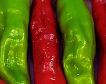 Shishito Pepper | Vegetable Mild Japanese Pepper | Home Garden 20+ Seeds