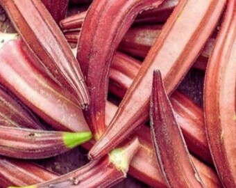 Jing Orange Okra | Summer Vegetable Garden for Home Growing  30+Seeds