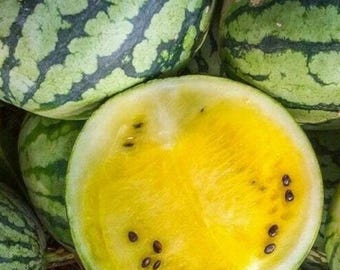 Yellow Crimson Watermelon | Unique Flesh for Home Garden  15+Seeds