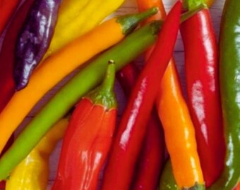 Rainbow Cayenne Pepper Mix, Spicy Hot Pepper for Home Garden 30+Seeds