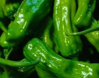 Italian Pepperoncini Pepper for Home Garden Growing 30+ Seeds