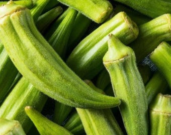 Clemson Spineless Okra Seeds,, Productive Summer Vegetable Garden  50+ Seeds
