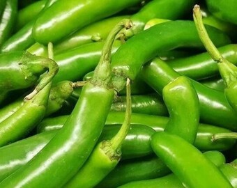 Serrano Pepper Hot Chili Pepper for Home Garden Growing 50+ Seeds