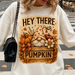 Pumpkin Shirt, Fall Gnome Shirt, Cute Autumn Gnome Tee, Pumpkin Patch Shirt, Thanksgiving Shirt, Cozy Fall Graphic ,hey there pumpkin shirt