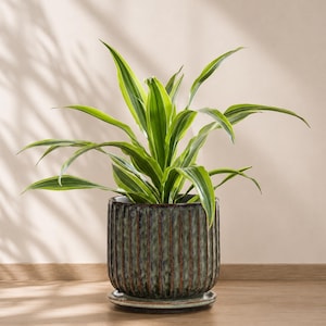 8 Inch Ribbed Ceramic Planter with Saucer, Forest Green Reactive Glaze, Boho Indoor Gardening