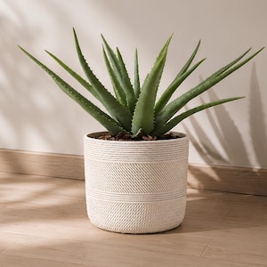 Textured Pottery Planter, Woven Ribbed Design, 8 Inch Neutral Houseplant Pot