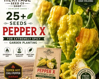 25+ Pepper X Seeds for Planting | Extremely Hot Chili Pepper | Rare Capsicum chinense