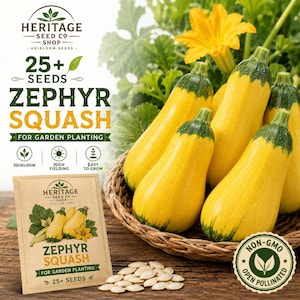 Peut inclure: Un sachet de graines de courge Zephyr Heritage Seed Co. avec le texte 25+ SEEDS ZEPHYR SQUASH FOR GARDEN PLANTING. À côté du sachet se trouve un panier en osier rempli de courges d'été jaunes et vertes et des graines sur une surface en bois.