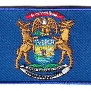 Michigan flag patch