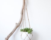 Plant hanger jute- medium
